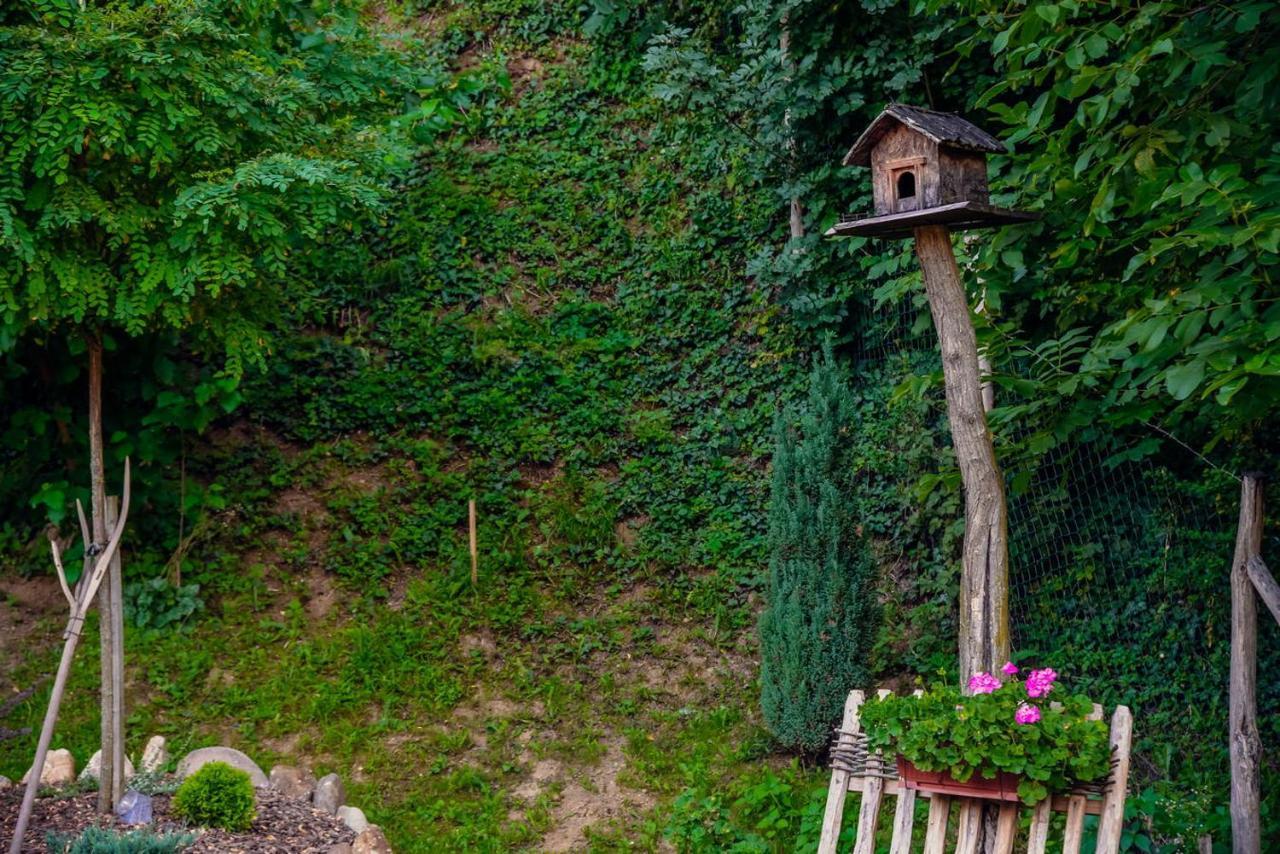 Etno Kuca Todorovic Villa สเมเดเรโว ภายนอก รูปภาพ