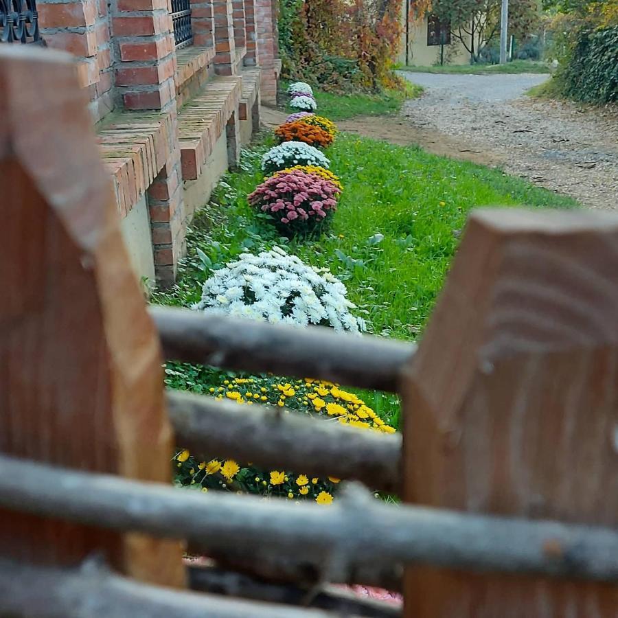 Etno Kuca Todorovic Villa สเมเดเรโว ภายนอก รูปภาพ